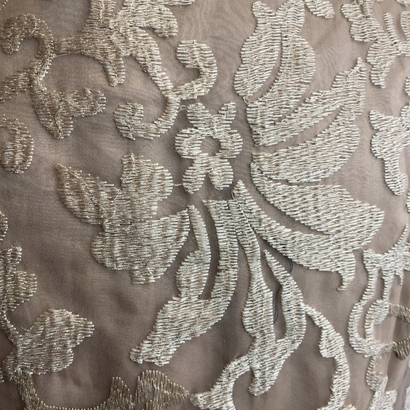 Lucy Paris Sleeveless Lace Shift Dress NWT - Picture 3 of 5